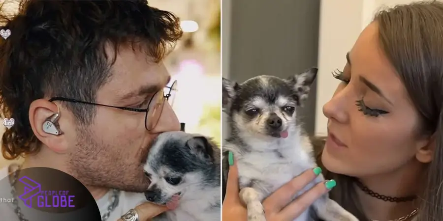 Jenna Marbles at a formal media event, reflecting her professional brand transition over the decade.
